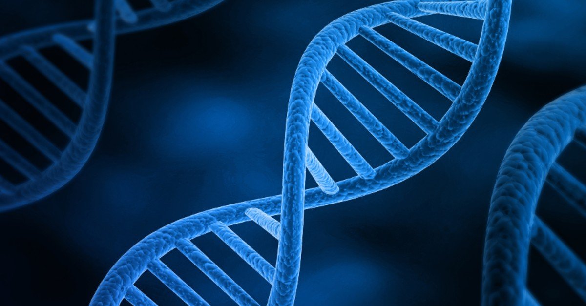 Study Illuminates the Genetic Architecture of Bipolar Disorder