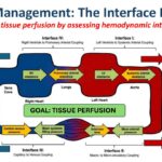 H&R Applied Hemodynamics – Online Rounds for Critical Care Fellows.