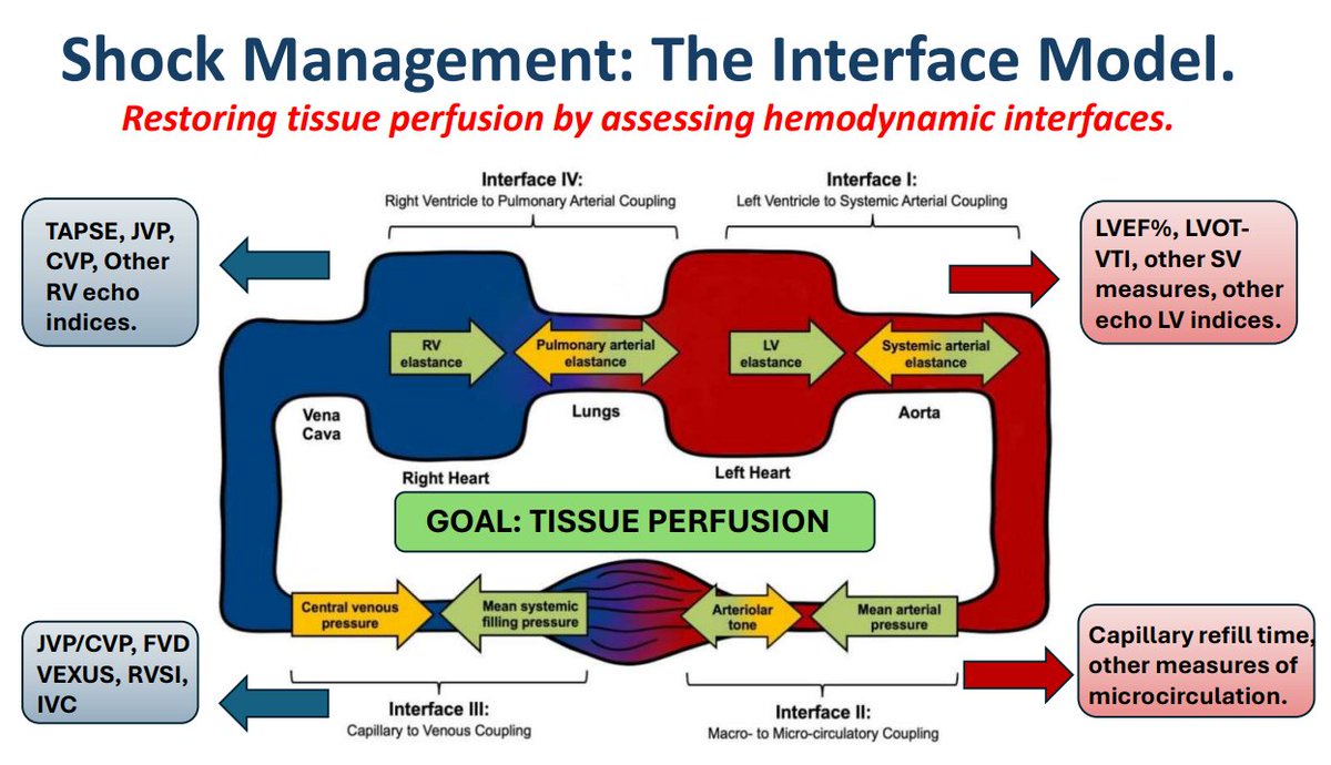 H&R Applied Hemodynamics – Online Rounds for Critical Care Fellows.