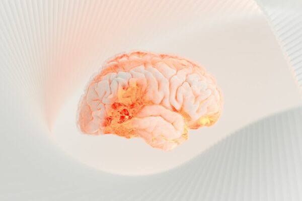 The Science of Food and Neurotransmitters — Nomadista Nutrition