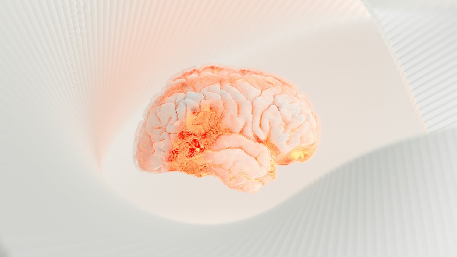 The Science of Food and Neurotransmitters — Nomadista Nutrition