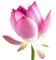 karma and selfish – samantha mercanti