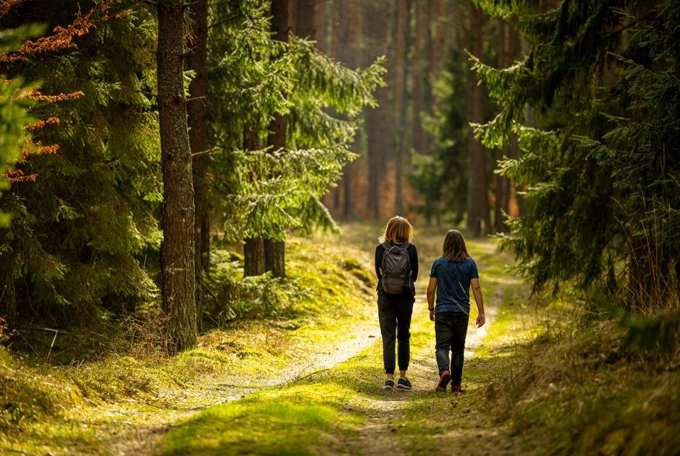 The Nature Remedy: Find Freedom from Tech Overload
