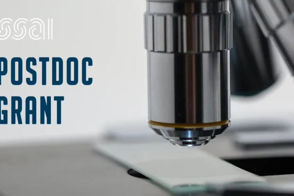 Post-doctoral grant programme 2026-7 – SSAI