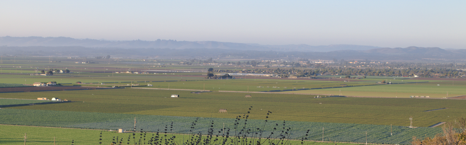 New North American Mental Health Center In Salinas