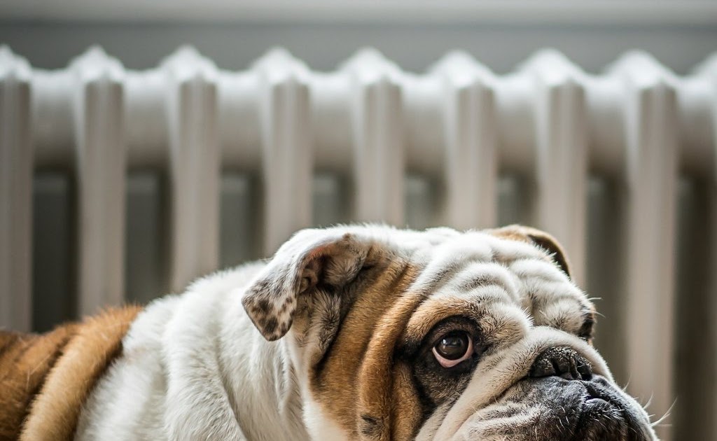 An Open Letter to My “Lazy” Friend