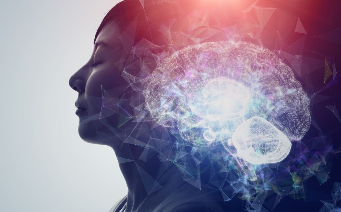 How the Brain Creates New Memories While Maintaining Old Ones