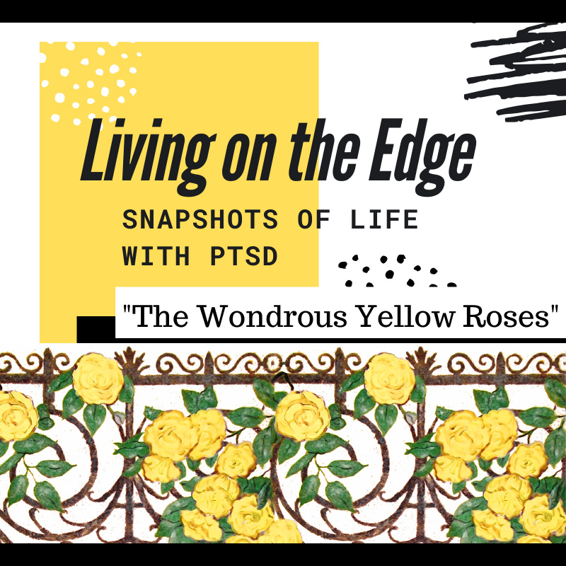 Living on the Edge – Snapshots of Life with PTSD: The Wondrous Yellow Roses (Loss of Self)