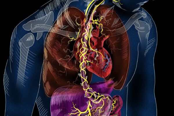 How to Stimulate Your Vagus Nerve