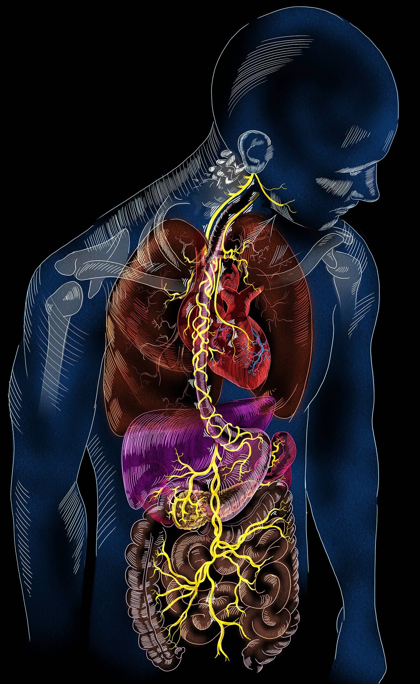 How to Stimulate Your Vagus Nerve