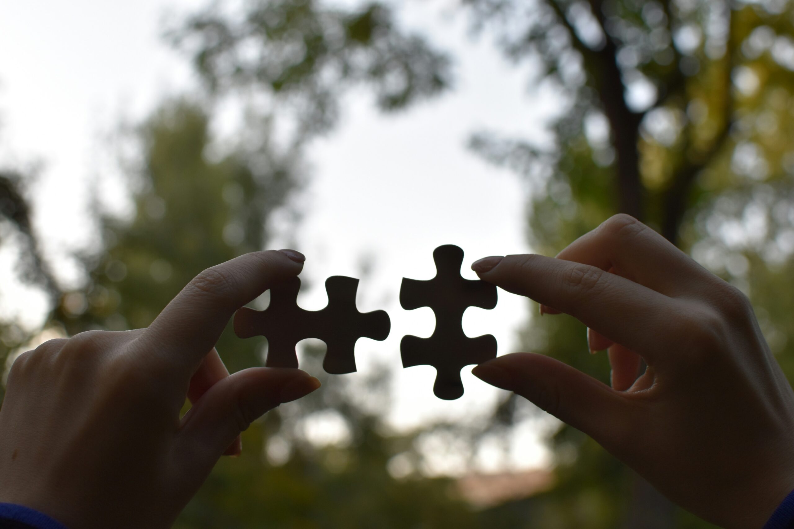 what are the key components?