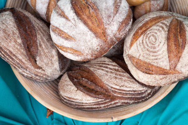 Are Grains and Carbs Bad for You? — Jill West Nutrition Consulting