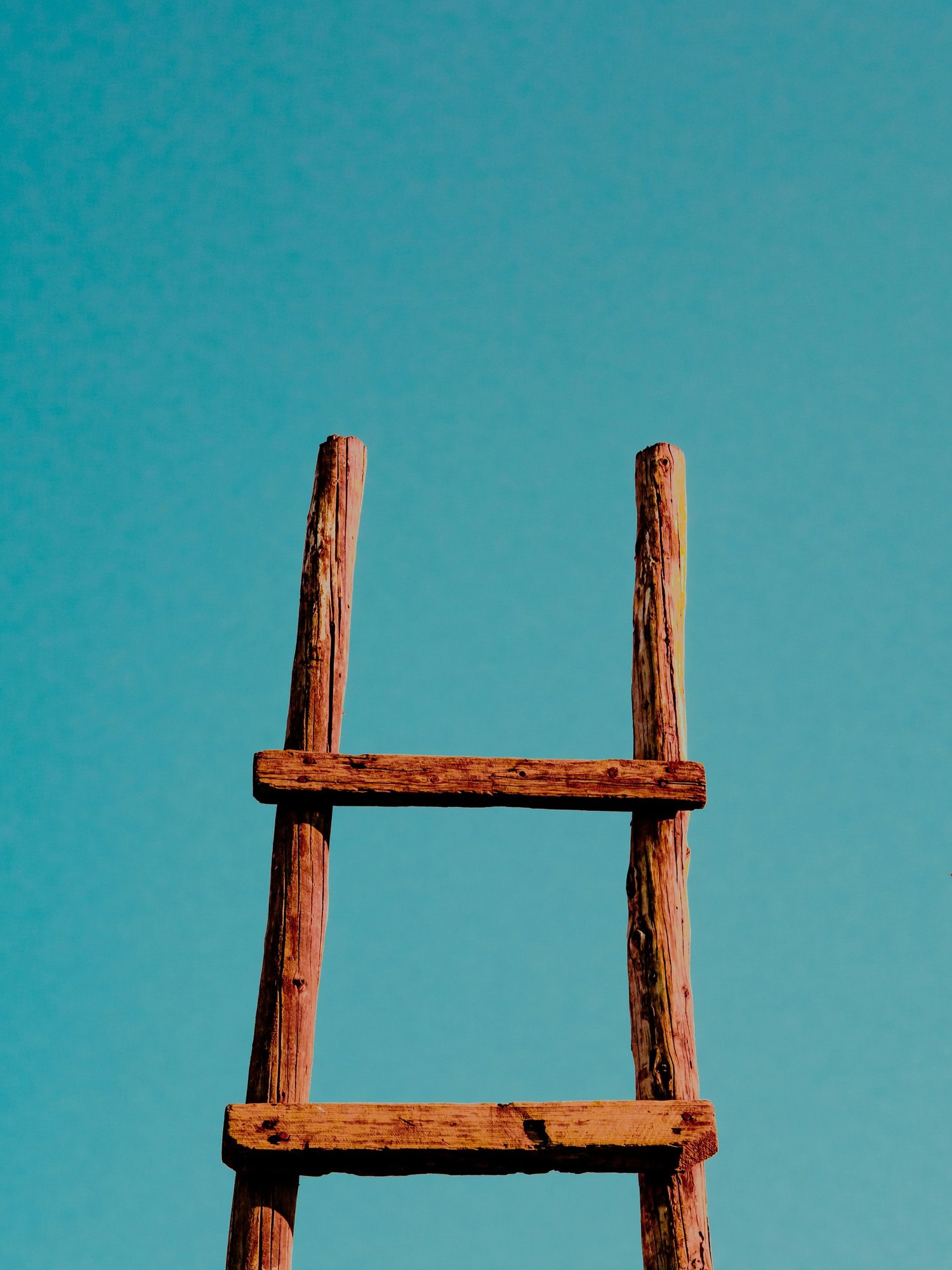 What is Polyvagal Theory? — Beautiful Voyager