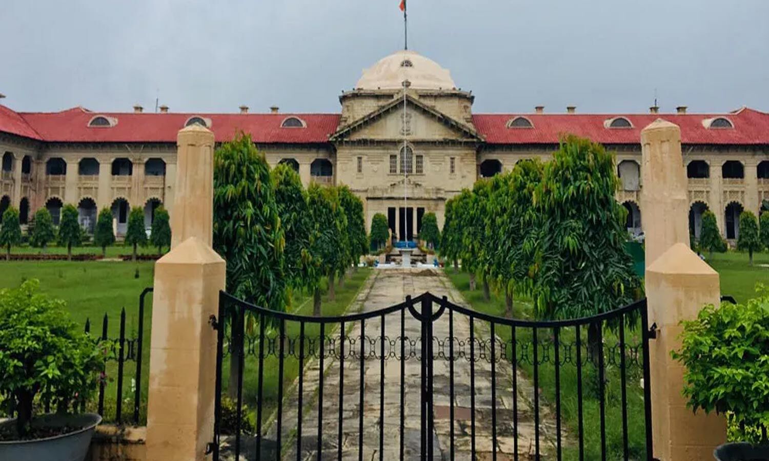 Allahabad HC Flags Procedural Flaws, Quashes Drugs Case Summons Against Pharma Firm
