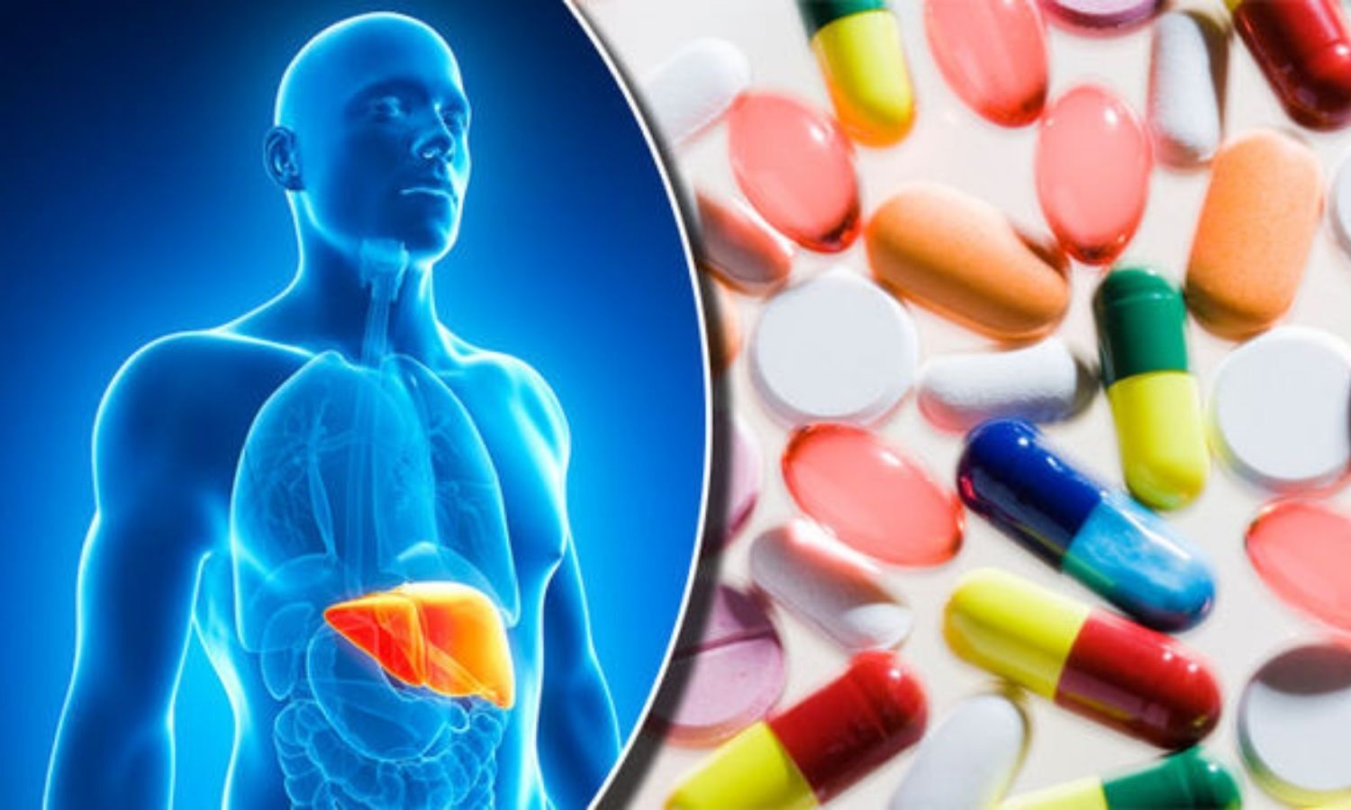 Half of Abdominal TB Patients on ATT Develop Liver Abnormalities, Many Recover via Hepatic Adaptation: AIIMS Patna Study