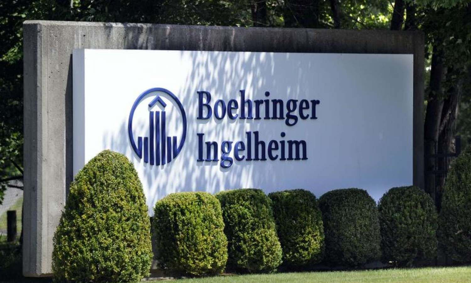 Boehringer Hernexeos gets USFDA accelerated approval for previously treated patients with HER2-mutant advanced NSCLC