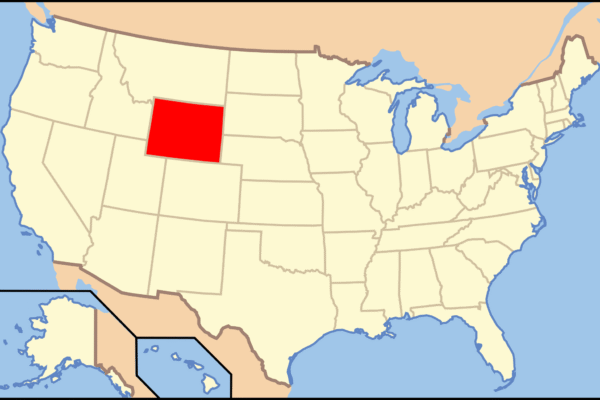 Diversity in Physical Therapy? – PT Think Tank