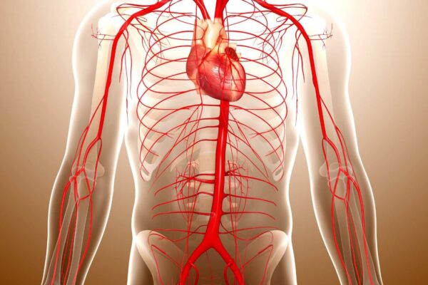 High TMAO Levels Predict Abdominal Aortic Aneurysm Progression and Surgical Risk: JAMA