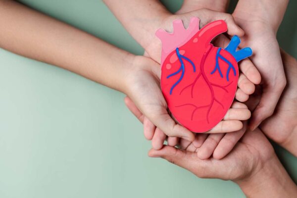 The Impact of Prenatal and Perinatal Factors on Cardiovascular Health in Childhood, study finds