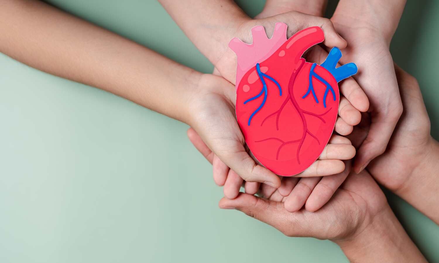The Impact of Prenatal and Perinatal Factors on Cardiovascular Health in Childhood, study finds