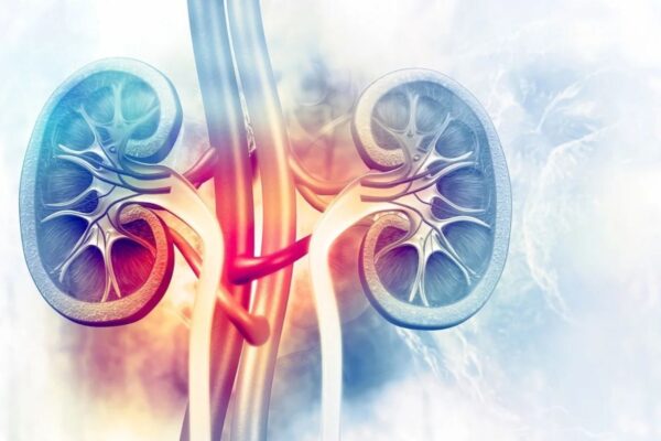Dual Imaging Approach Enhances Early Detection of Contrast-Induced Nephropathy in Animal Model: Experimental Study