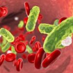 7-day antibiotic regimen good enough for tackling bacteremia and reducing length of hospitalization: Study