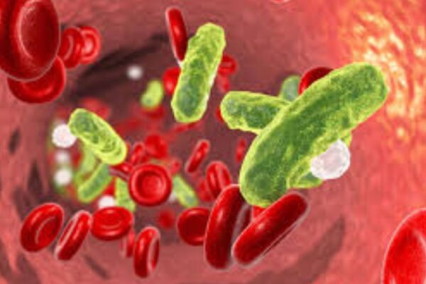 7-day antibiotic regimen good enough for tackling bacteremia and reducing length of hospitalization: Study
