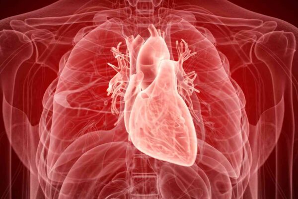 Finerenone Benefits Consistent Across Diuretic Subgroups in HFmrEF/HFpEF: JAMA