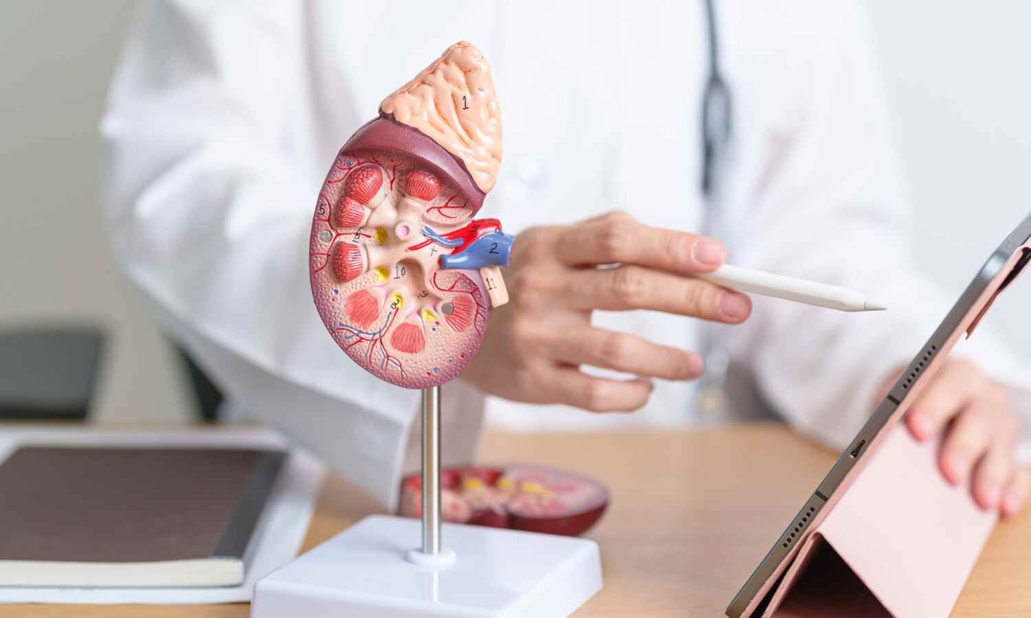 Two-Thirds of Indian Children With Lupus Develop Nephritis Early, Registry Finds