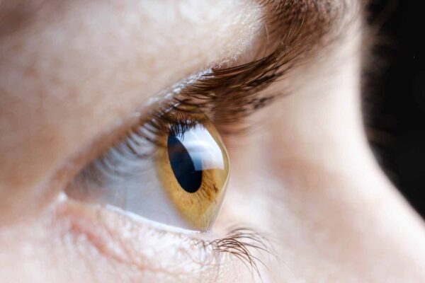 AI can spot which patients need treatment to prevent vision loss in young adults: Study