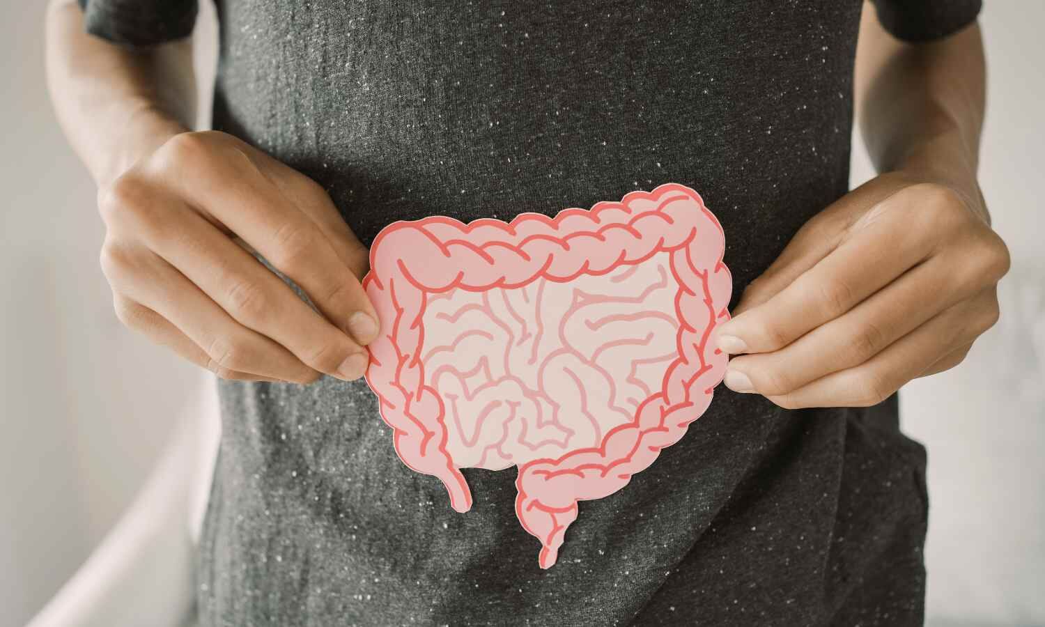 Probiotics can help or hinder gut recovery after antibiotic treatment: Study