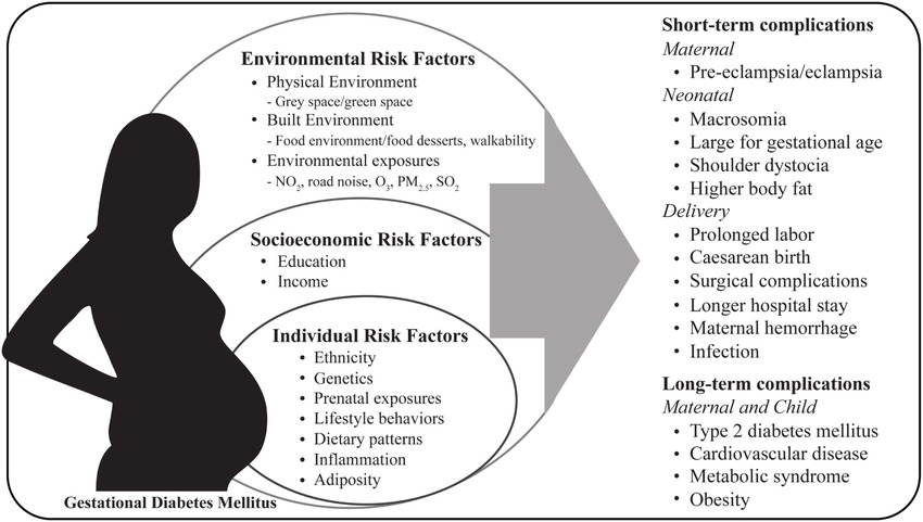 Low FT4 Levels Linked to Higher Gestational Diabetes Risk: Study