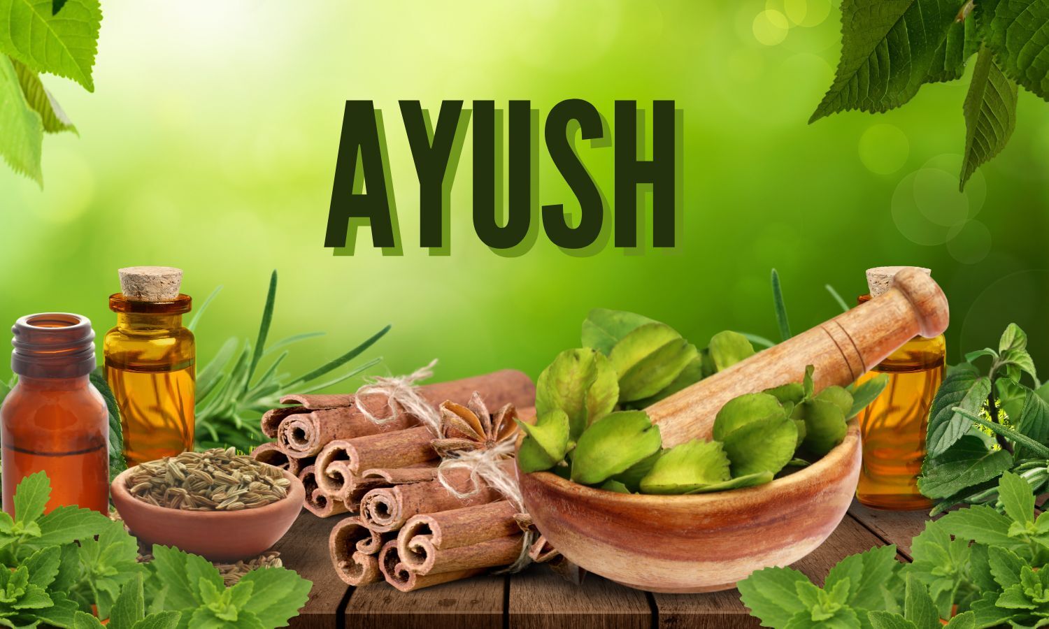 AYUSH Ministry strengthens healthcare through education, research and outreach
