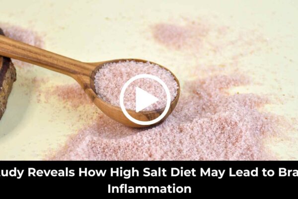 Study Reveals How High Salt Diet May Lead to Brain Inflammation