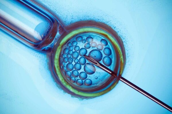 Genetic testing of IVF embryos helps women over 35 conceive faster, reveals study