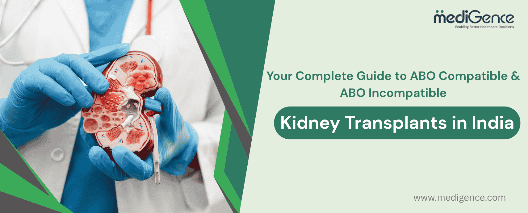Guide to ABO Compatible & ABO Incompatible Kidney Transplants