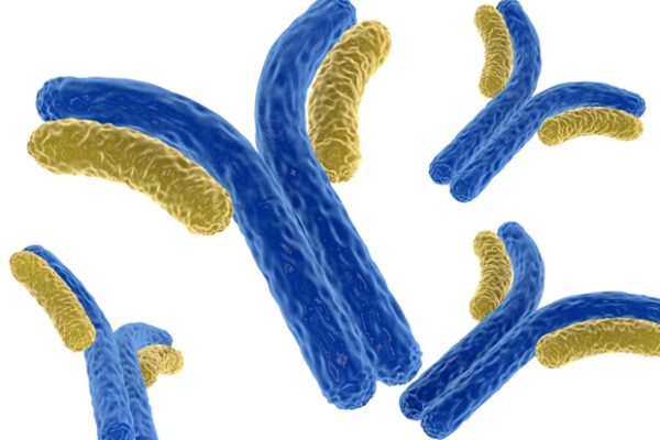 Breakthrough in protein drug delivery could replace lengthy IV infusions