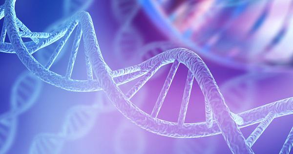 What is a gene?: MedlinePlus Genetics