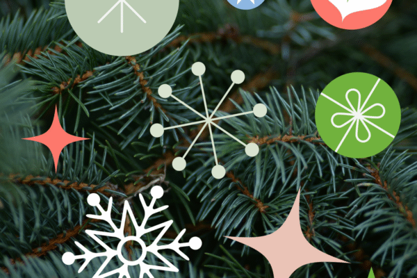 Green Ideas for Low-Waste Holiday Festivities
– Sky Organics Green Ideas for Low-Waste Holiday Festivities
– Sky Organics