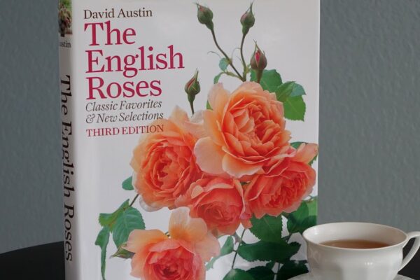 Organic Garden Dreams: Book Review: “The English Roses