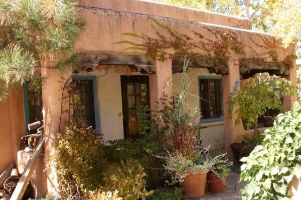 Organic Garden Dreams: Autumn in Santa Fe