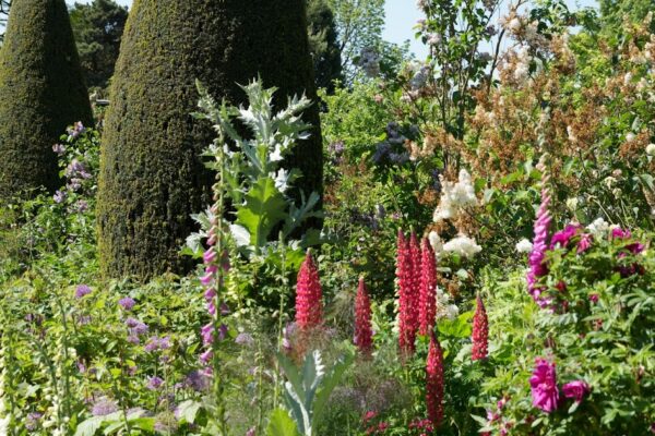 Organic Garden Dreams: Hidcote Manor Garden II