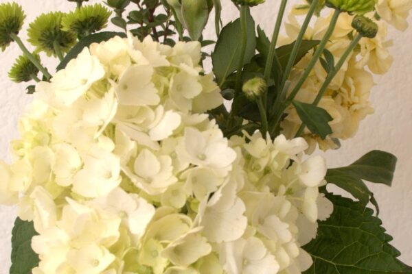 A Spring Bouquet in Soft Colors