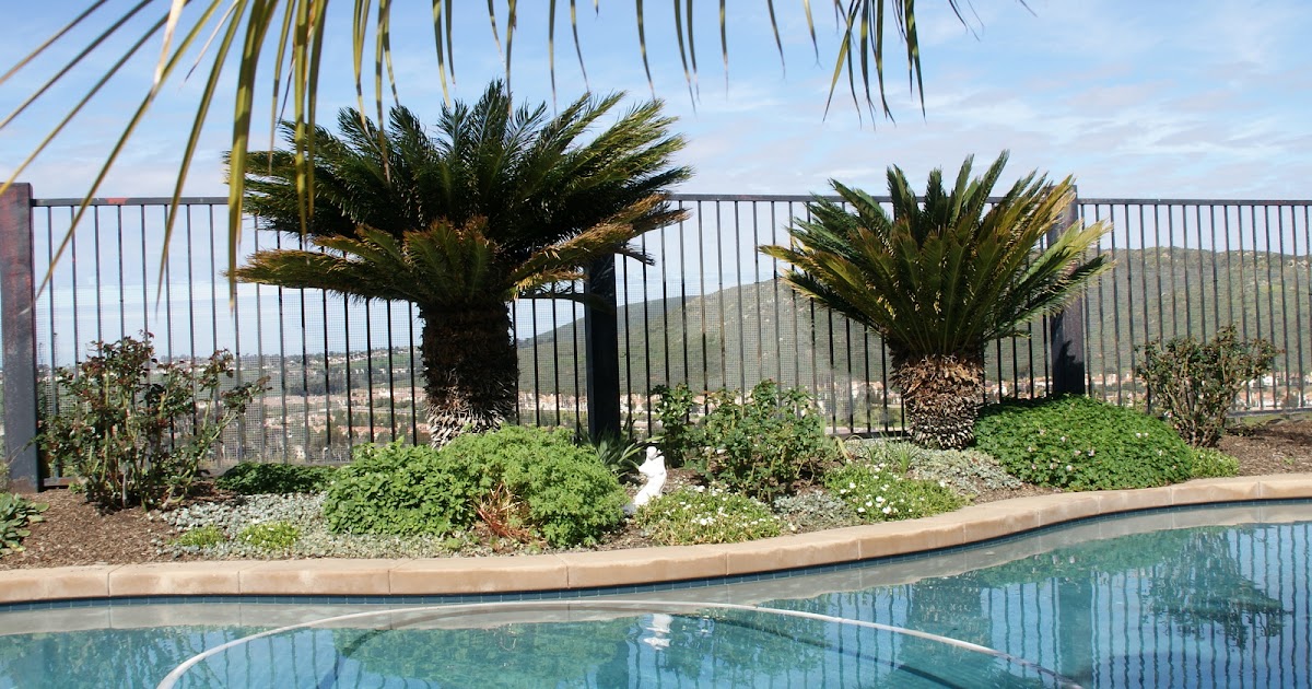 Organic Garden Dreams: Catching You Up