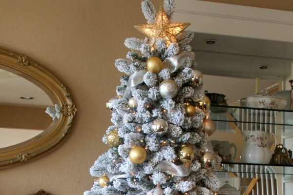 Christmas Time at Our House and Garden