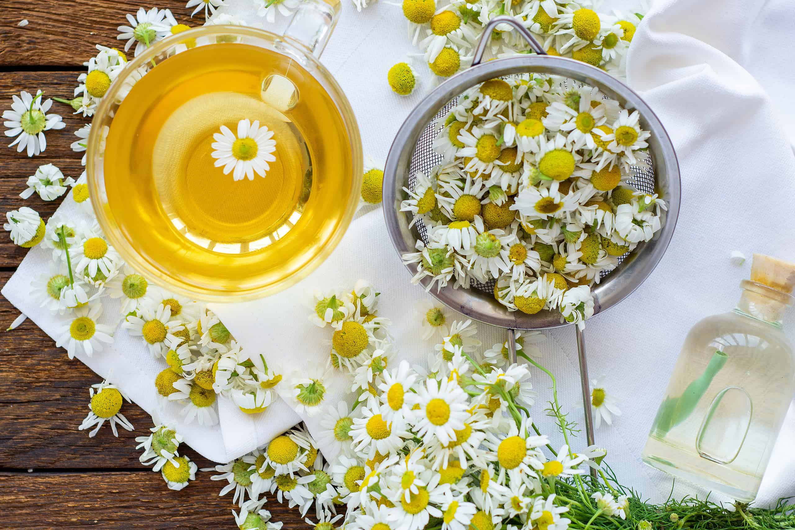 Honey Chamomile Toner – Easy DIY Recipe