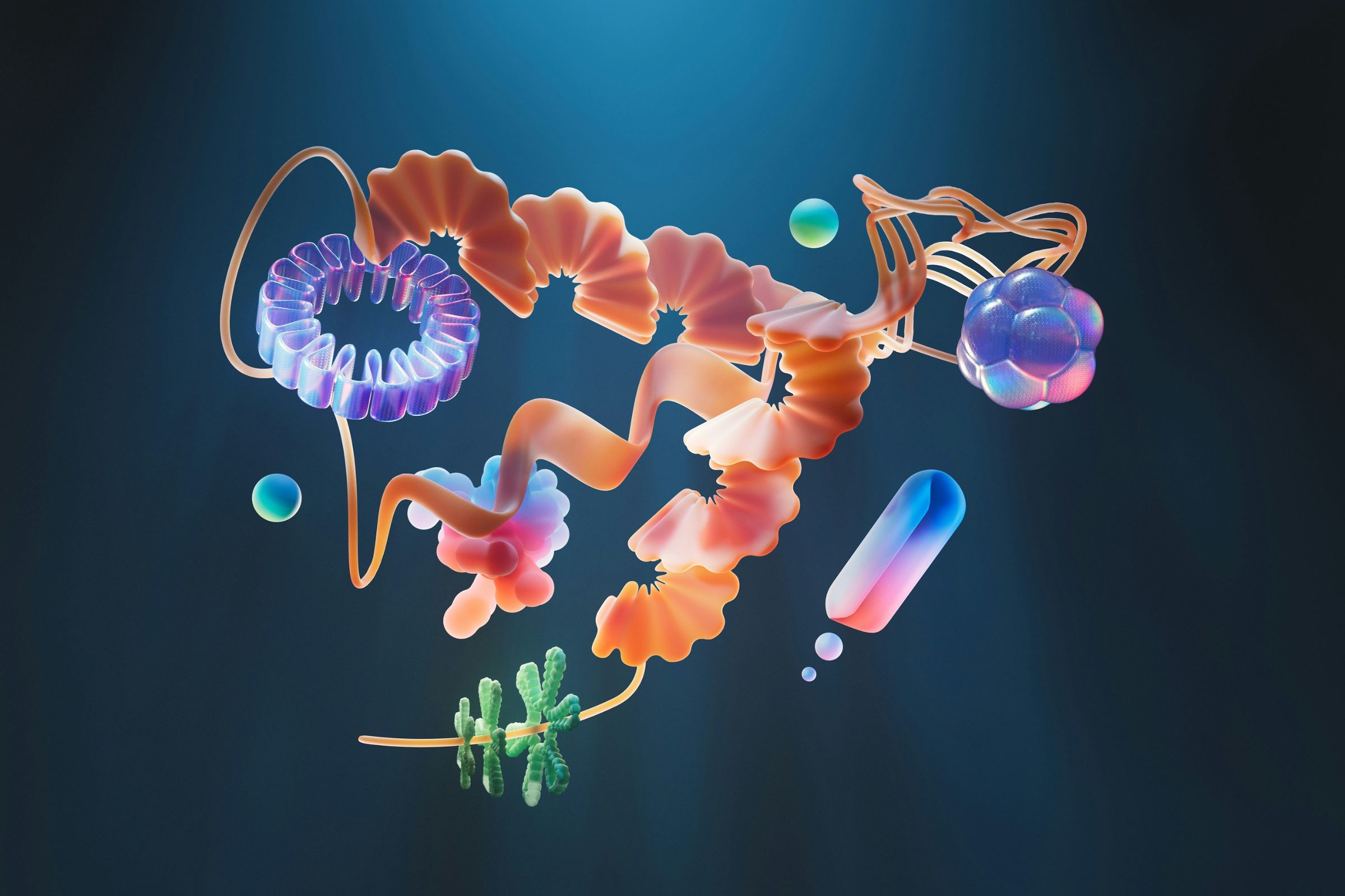 How To Detect Phosphoproteins By Western Blot?