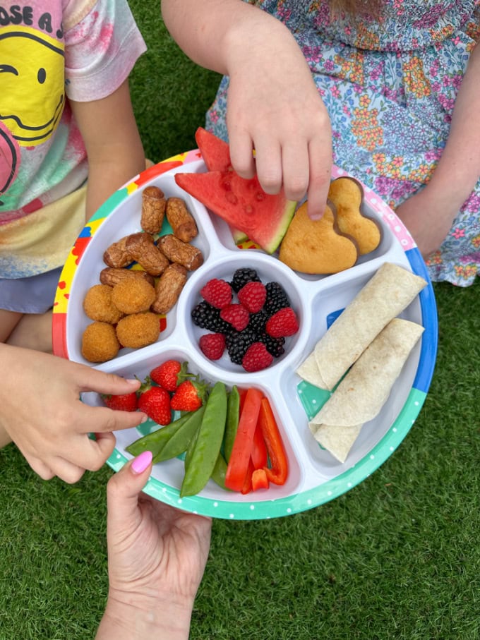 Easy Meal Ideas for Picky Eaters – My Fussy Eater