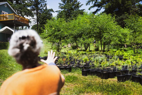 Partner Spotlight: Elderberry Wisdom Farm