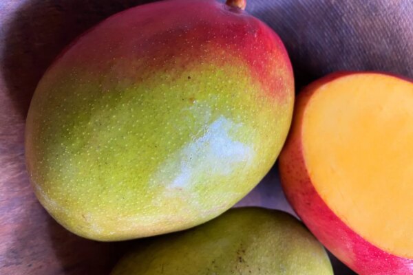 This Summer, Move Muchos Mangos — Organically Grown Company
